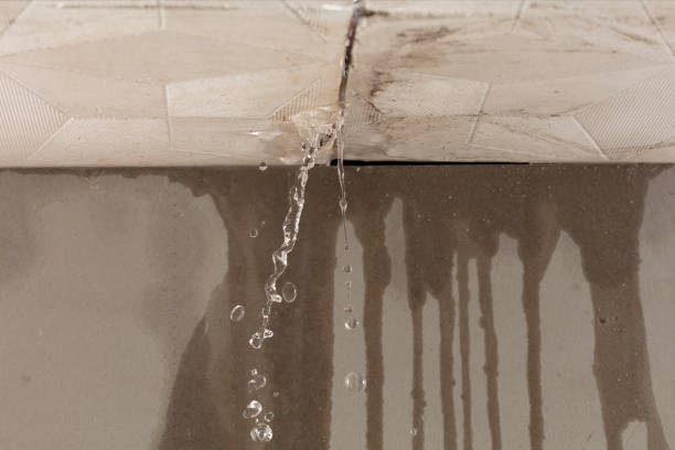 Professional Water Damage Inspection technician working in Morton, PA